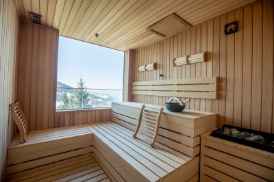 Products For Sauna Repairs in use